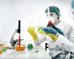 Sed blandit massa vel